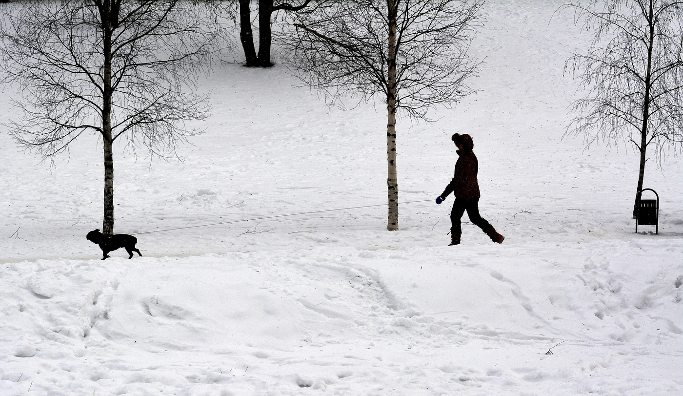 Белая пятница