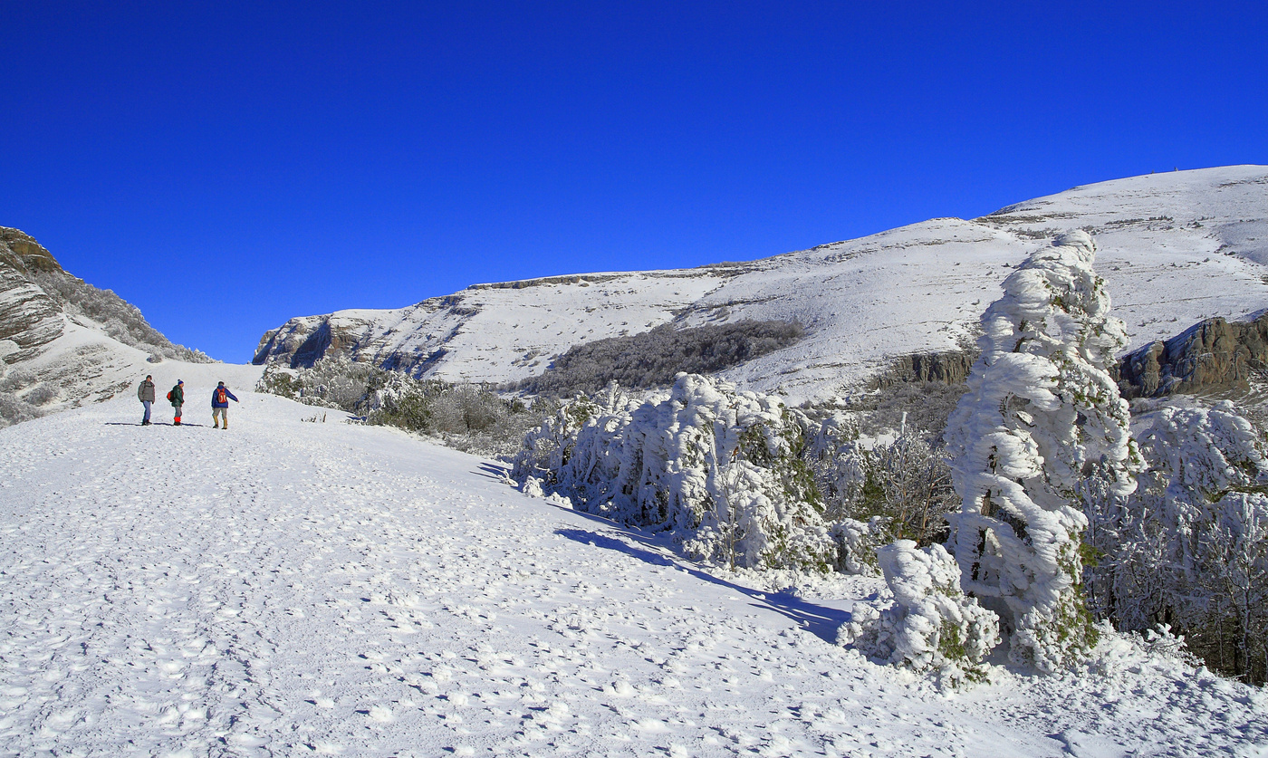 Белая пятница