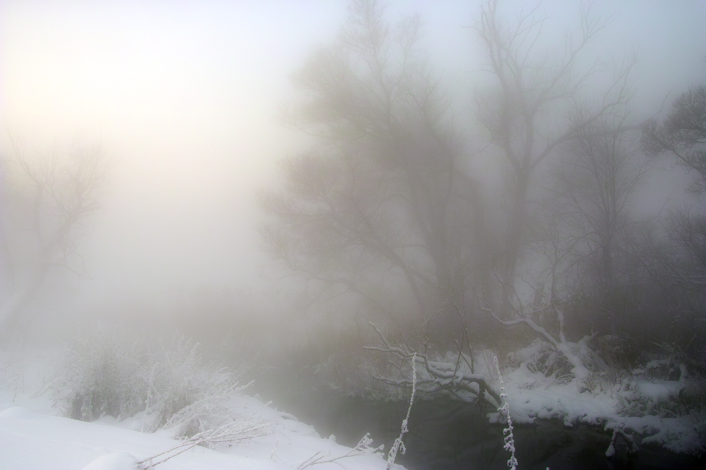 Молочные туманы