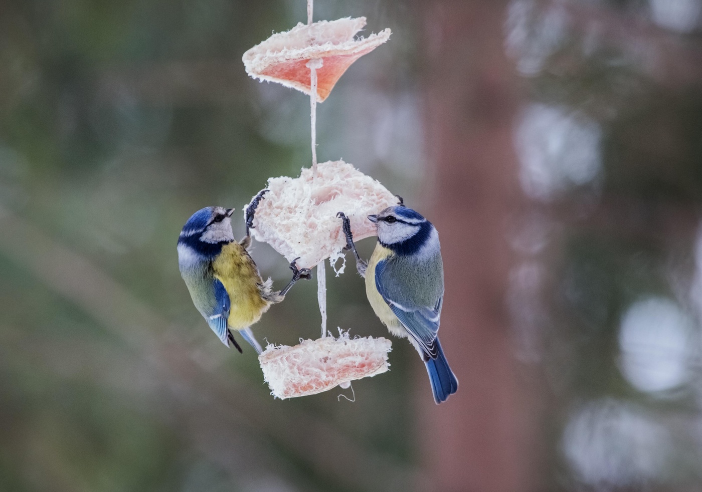 завтрак вдвоем