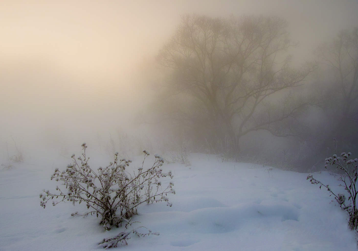 Зимний букет