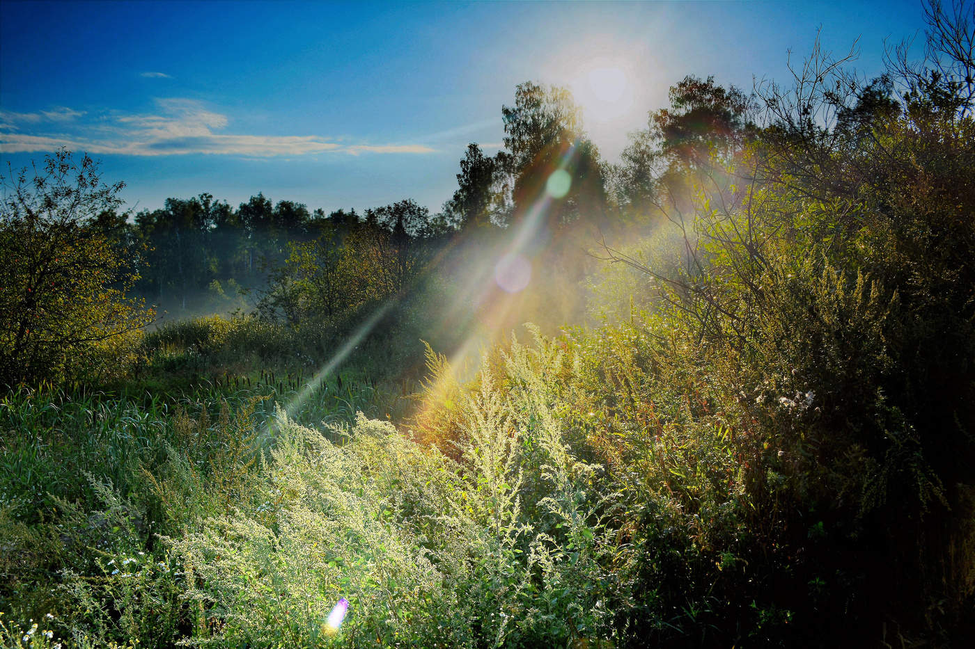 Свет пробужденя.