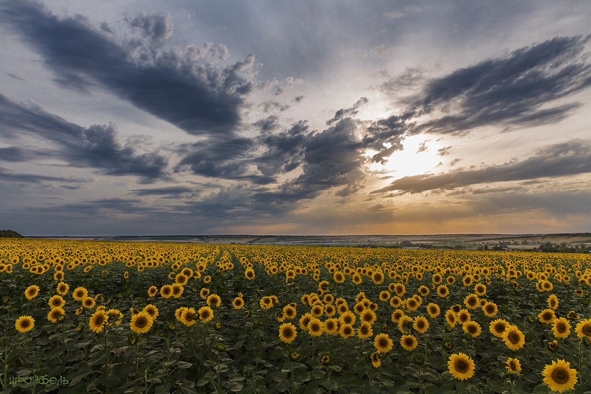 Кончается день...