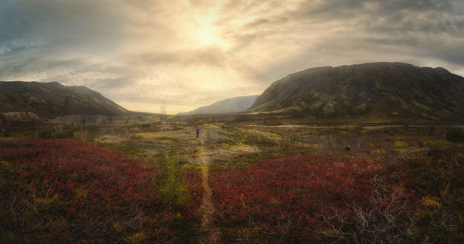 Направление - Кольский Север