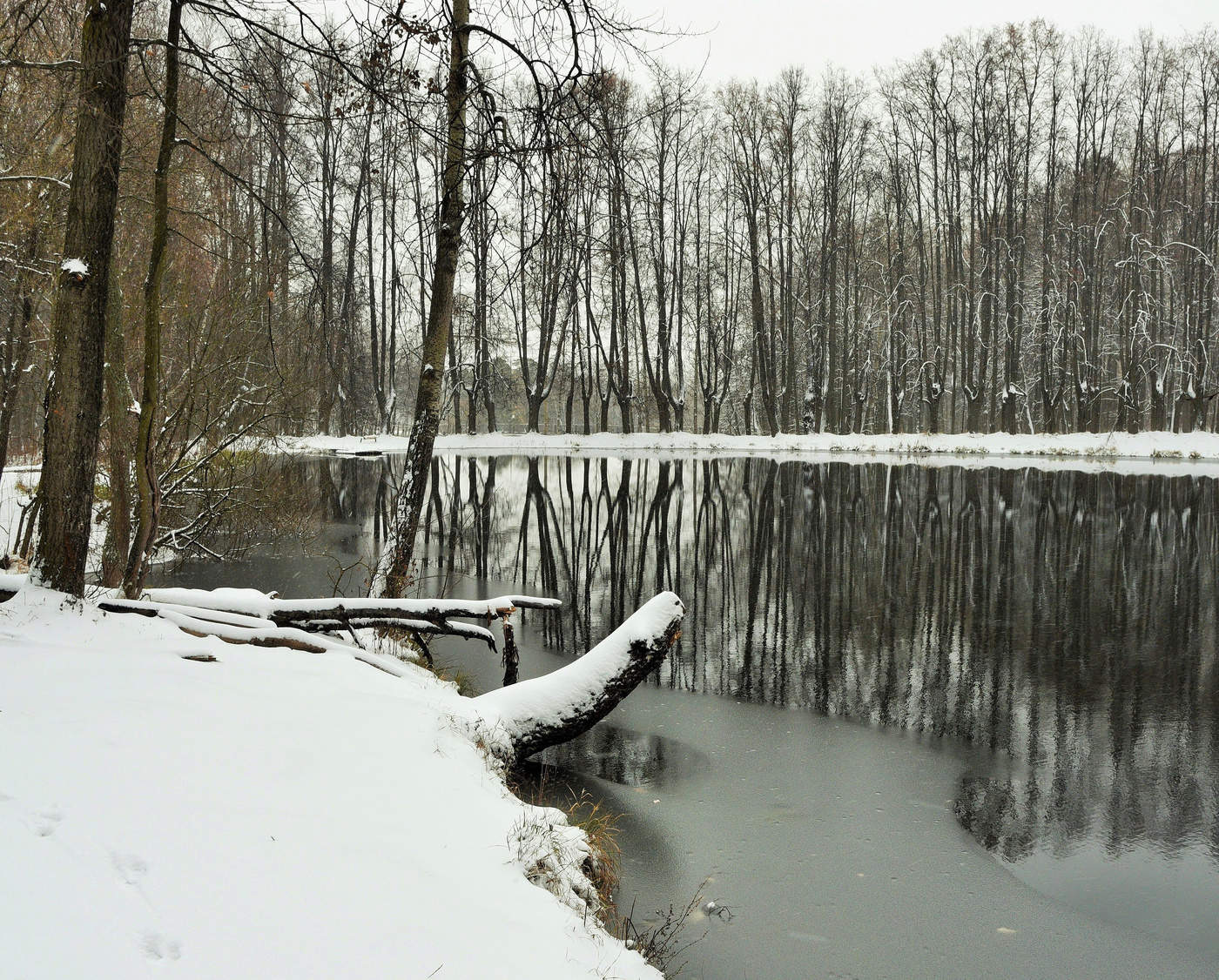 "Зима, и все опять впервые..."