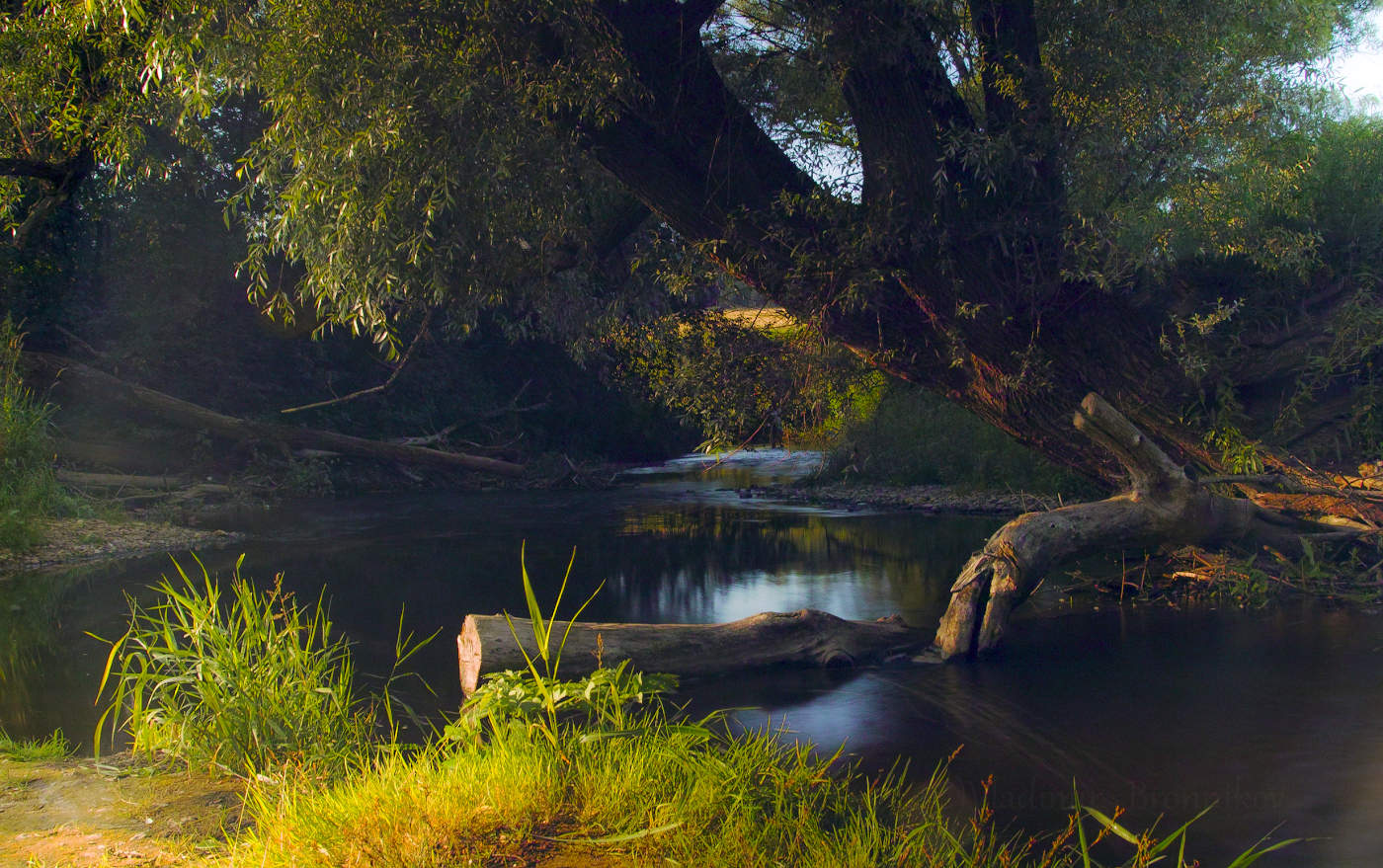 Вечером у омута