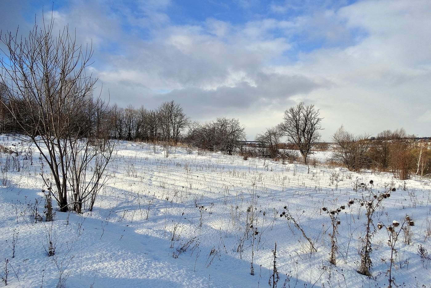 Тени на снегу