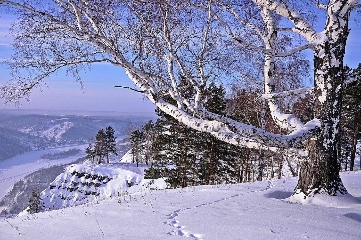 Зимний день