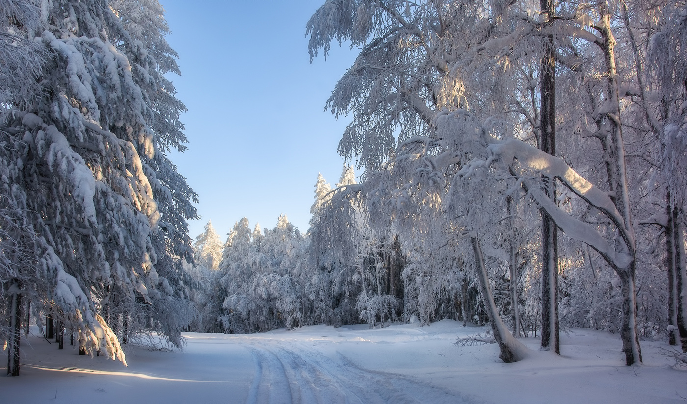 Зимняя сказка