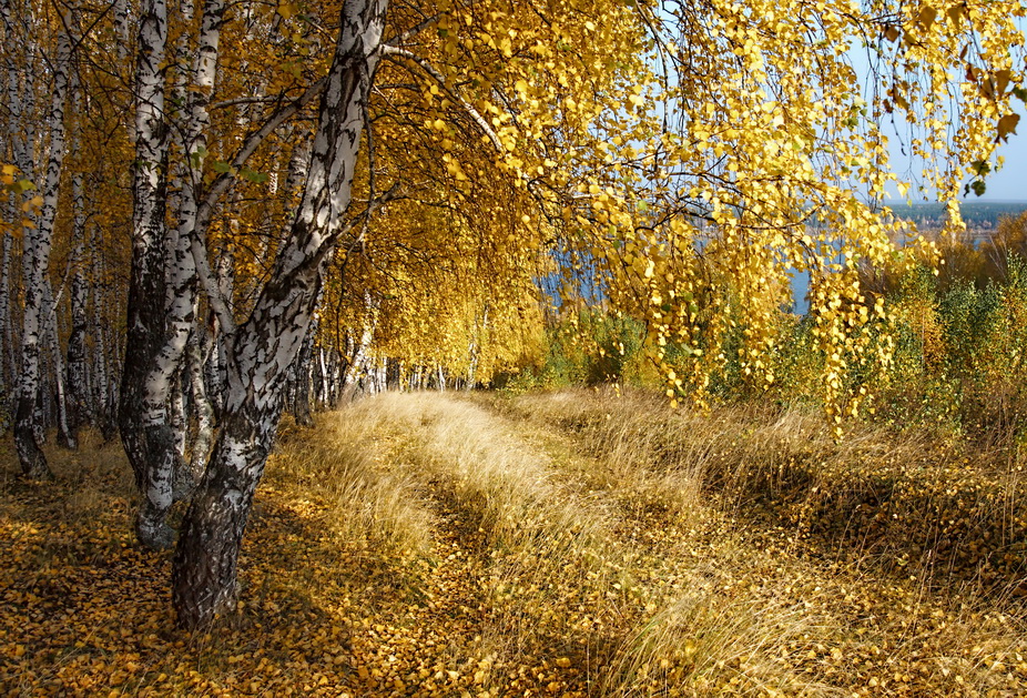 В золотом наряде