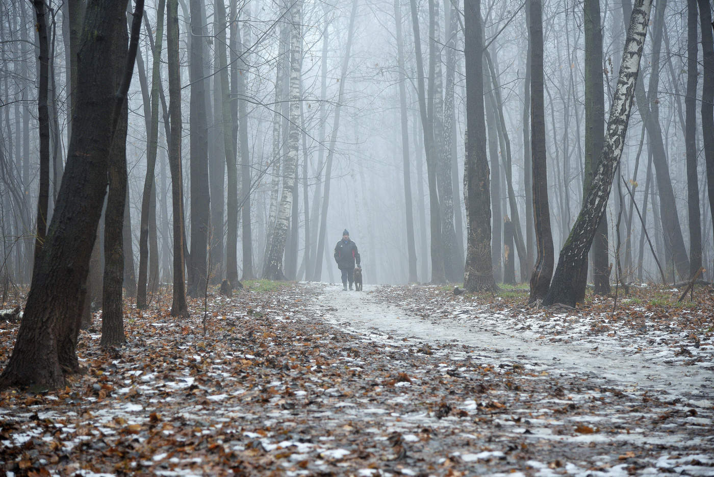 "Прохожий узнается позже ..."