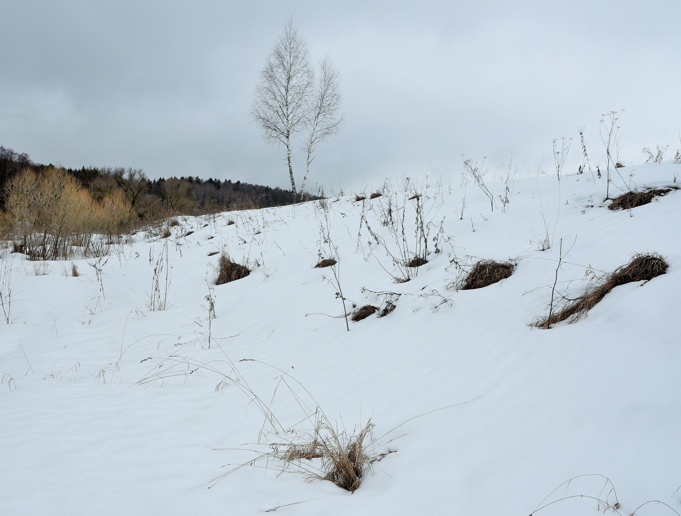 "Зима подходит к середине ..."