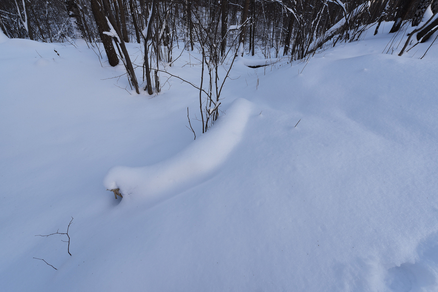 "И кажется, что время стало ..."