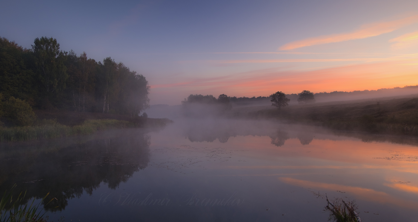 Розовая вуаль
