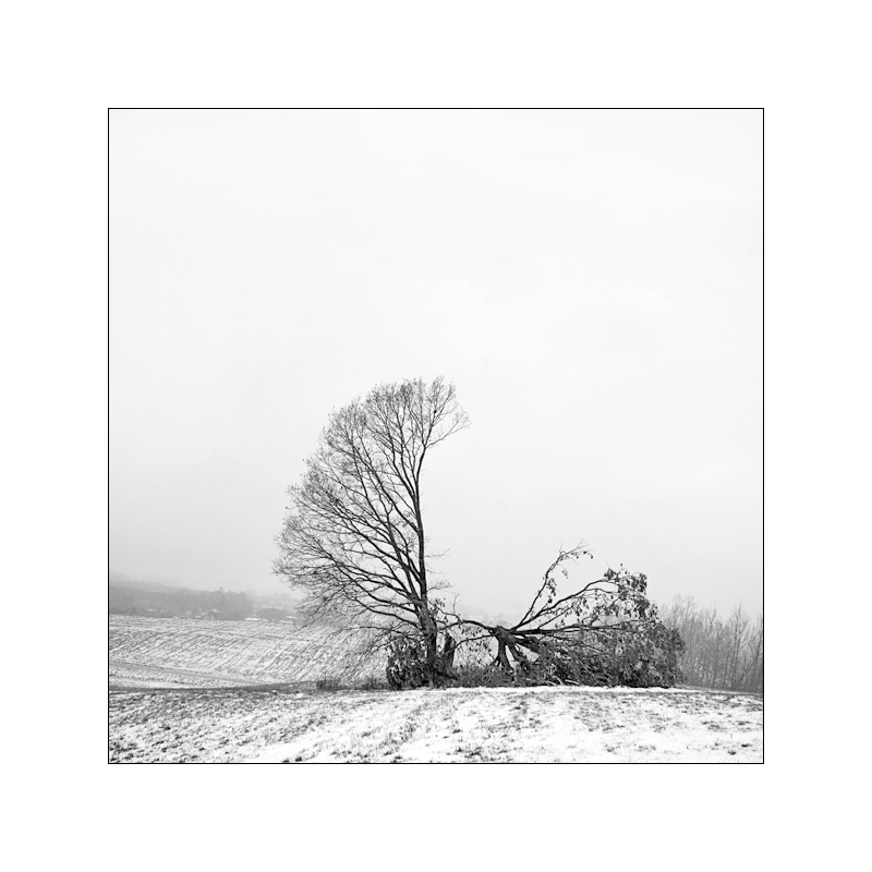 Было, но прошло. Крылья.