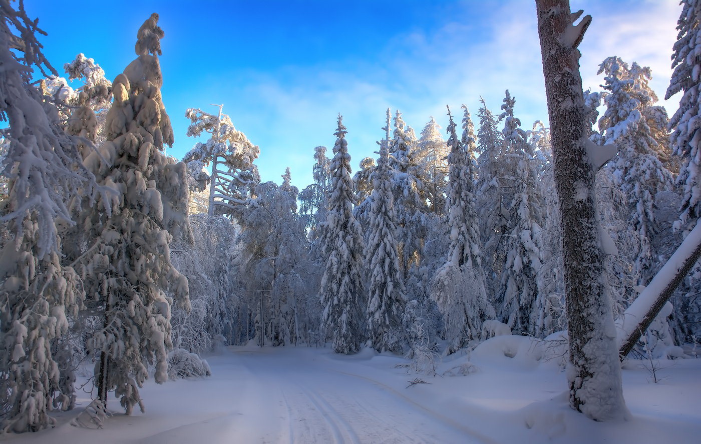 А лес стоит загадочный