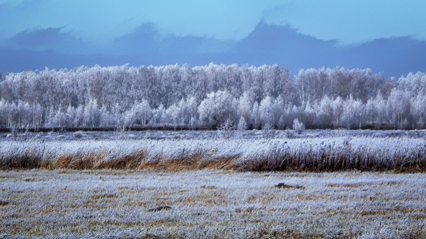 Мороз на тройке лошадей.
