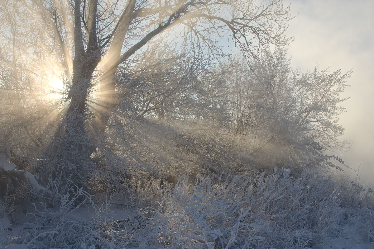 Так неожиданно и ярко