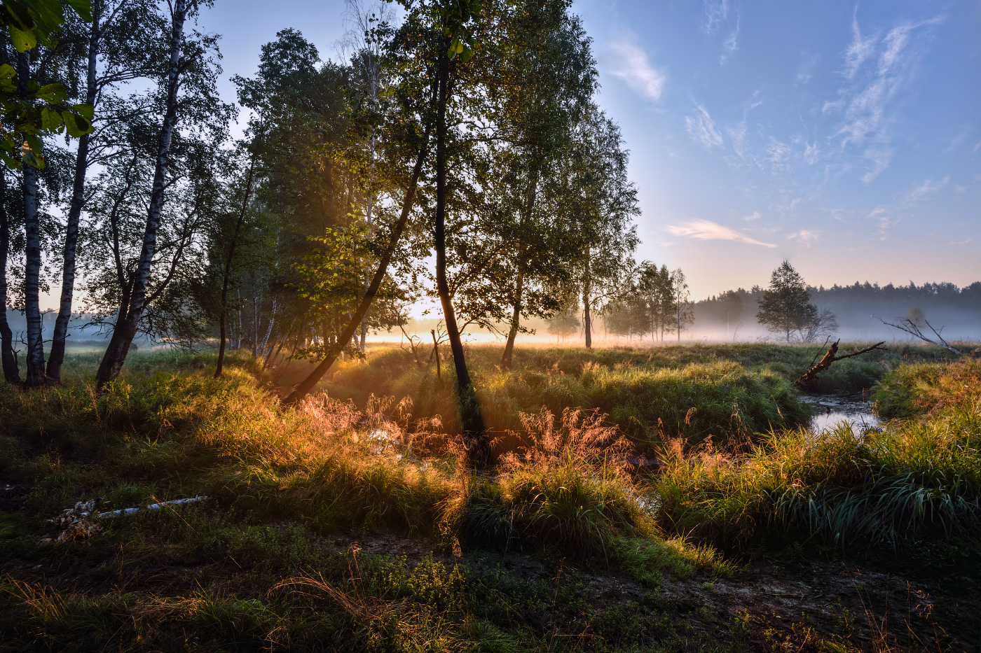 свет утренних лучей