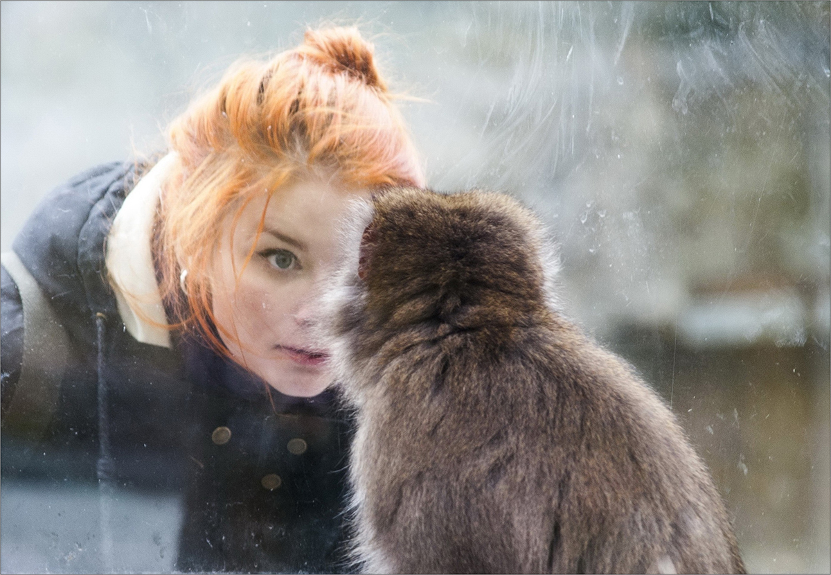 Брат ты мне или не брат?