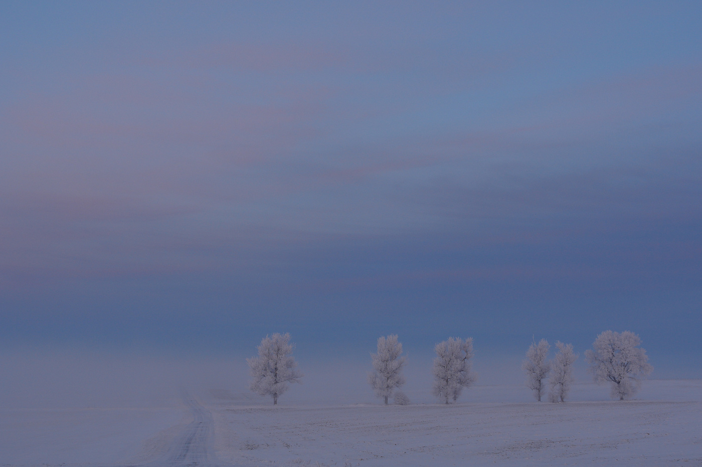 утро зимнего дня