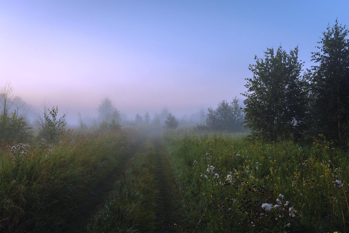 Летним утром.