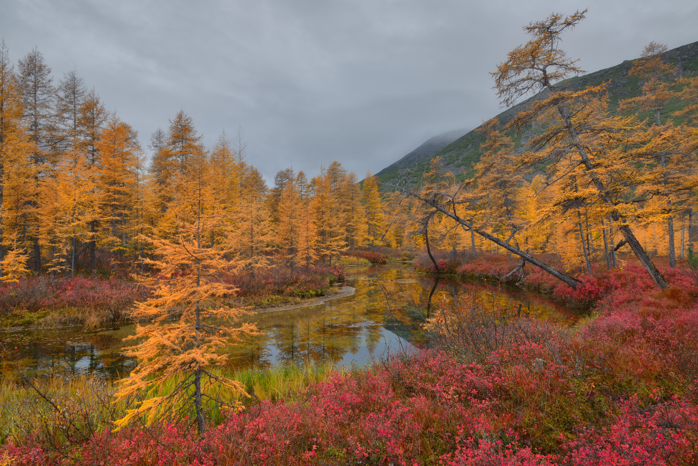 У ручьев Неведомых...