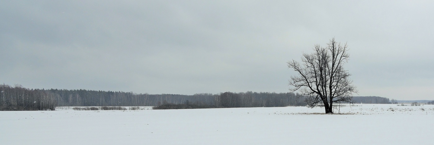 "Одинокость ..."