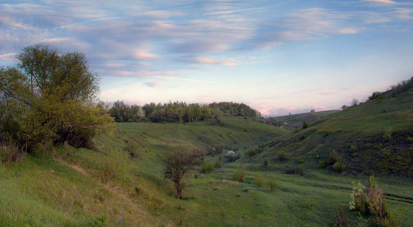 Нежное майское утро