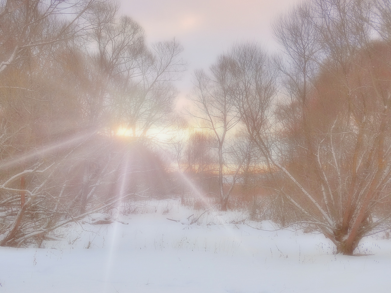 Зимнее солнце в тумане