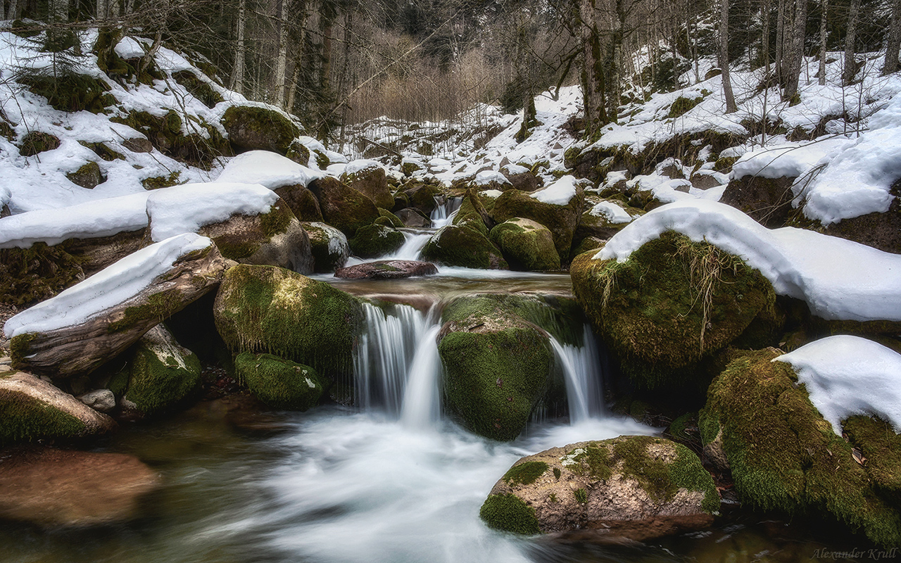 По январскому Рожку...