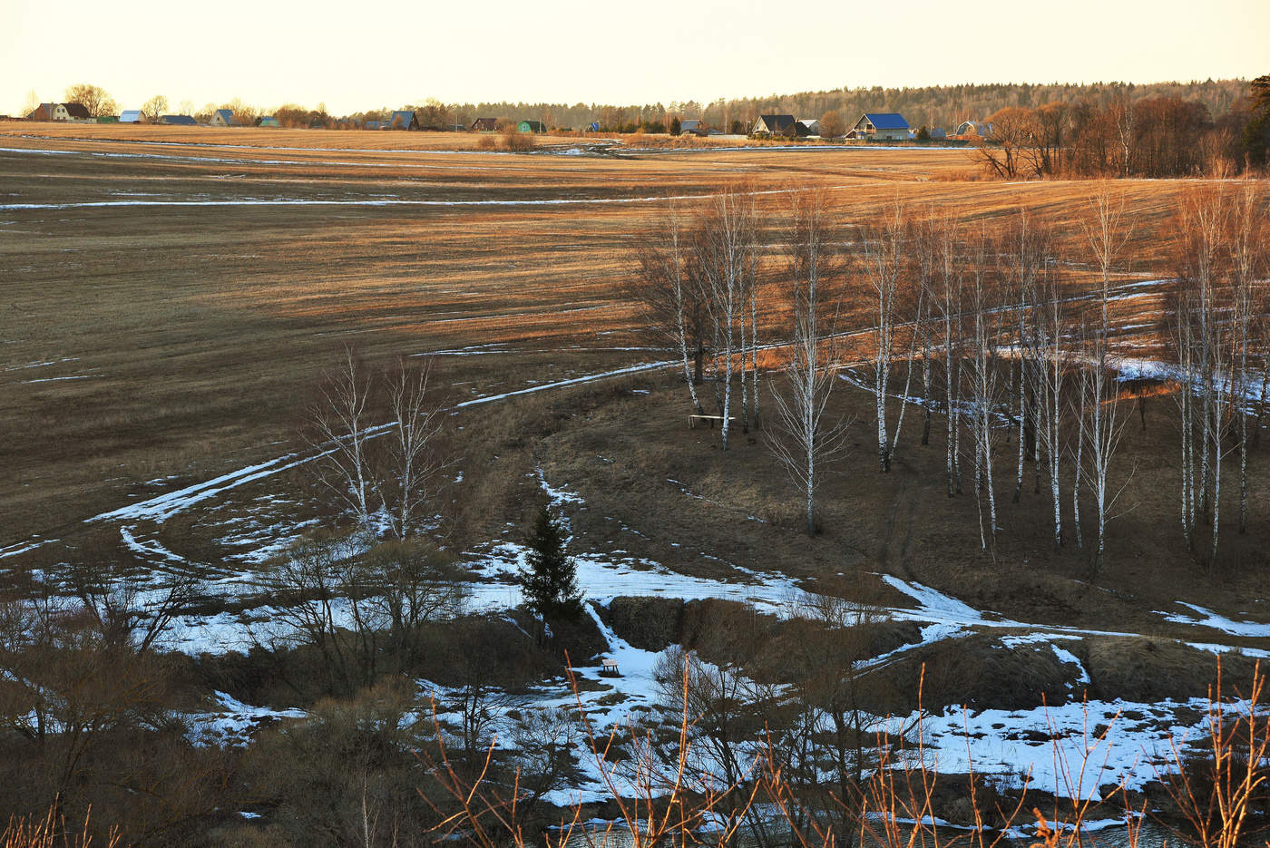 "И бушует, одурев, овраг ..."