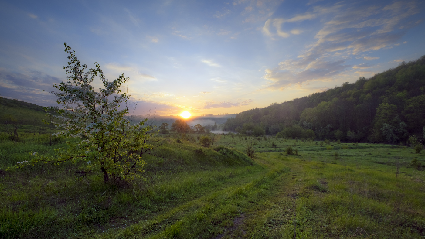 Весна-пора цветения