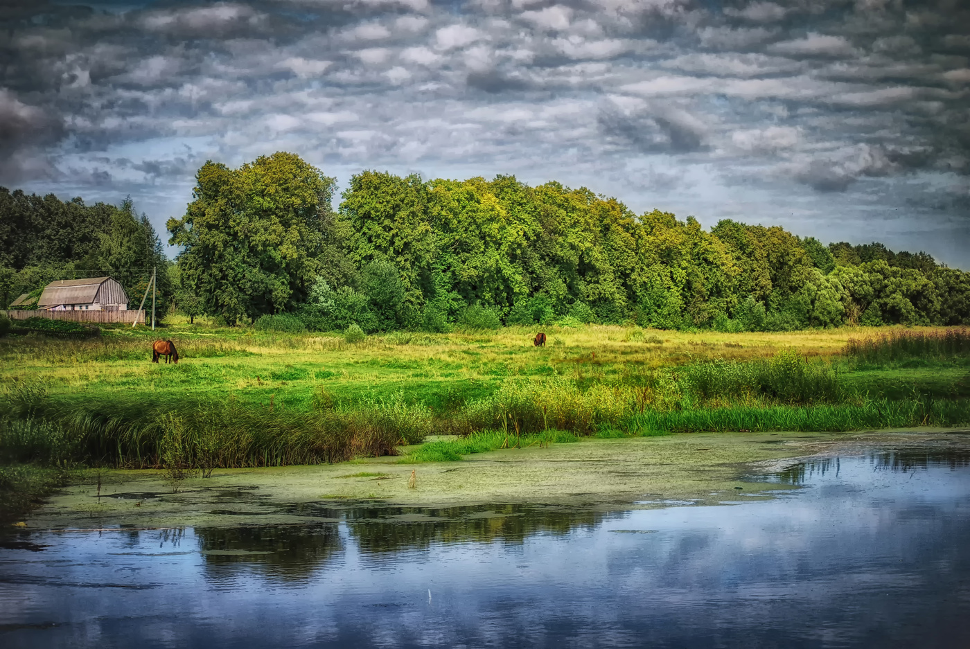 Река Воронуса.