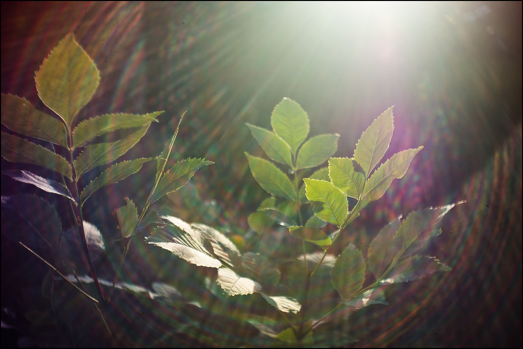 солнечный, так сказать, ветер