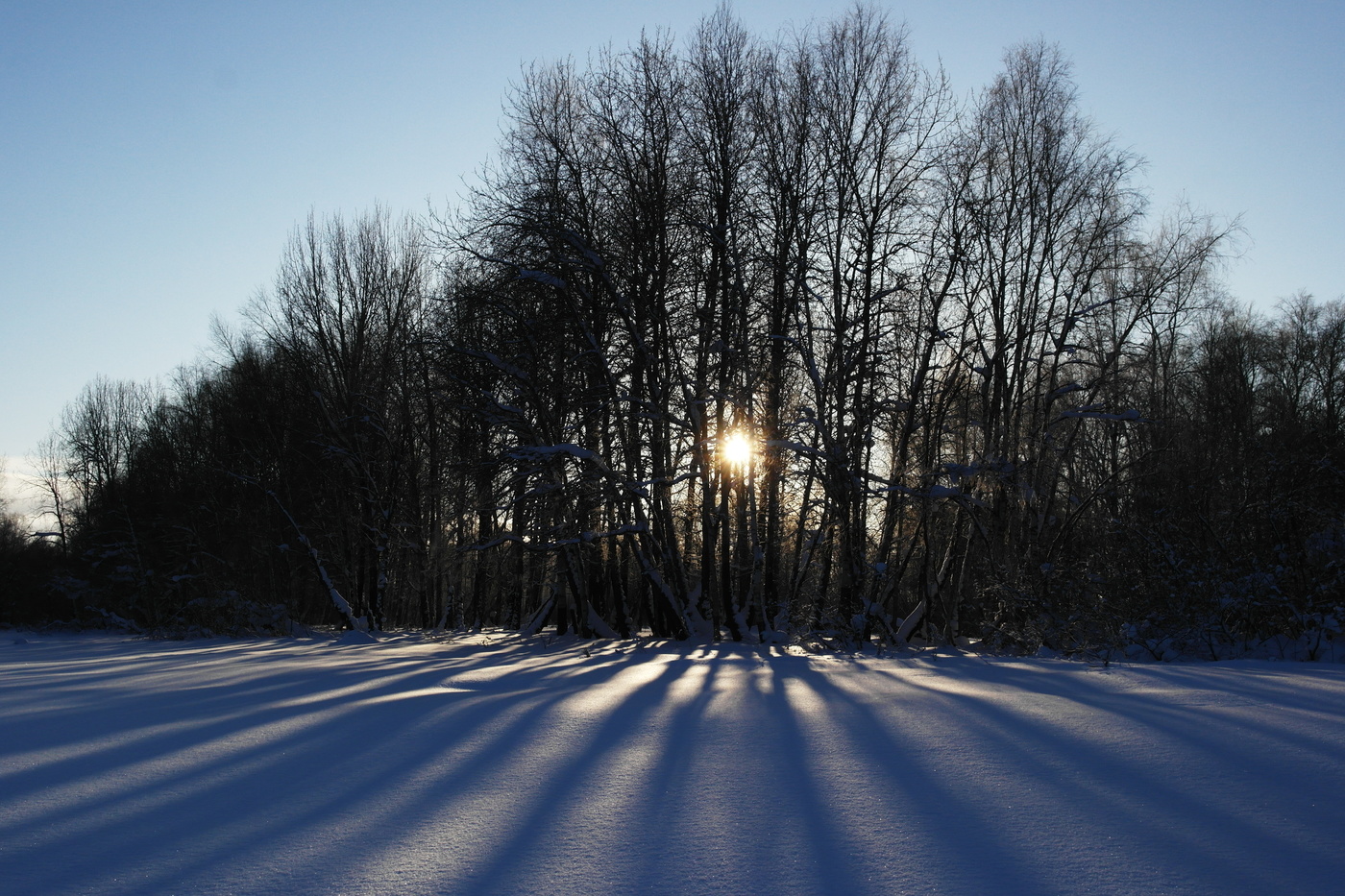 Иоганн Себастьян Бах-токката...