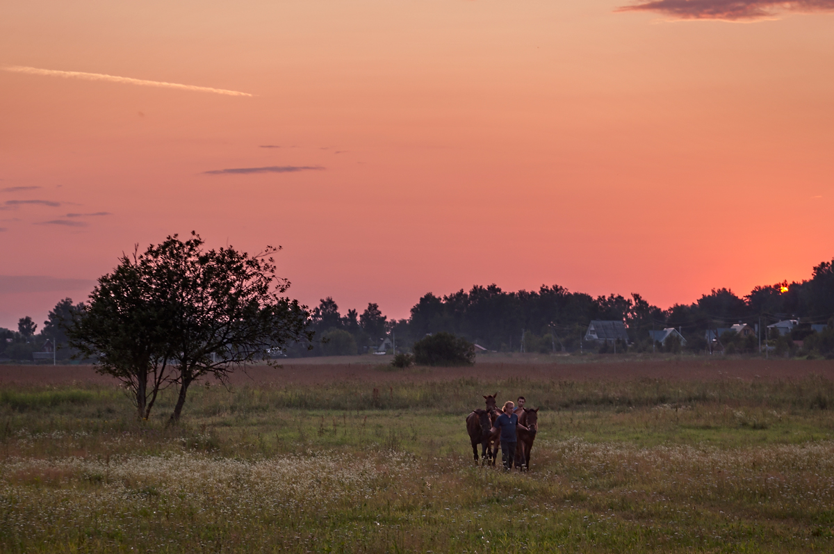 Невыдуманная история