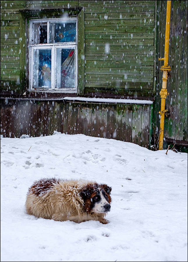 Невыдуманная история