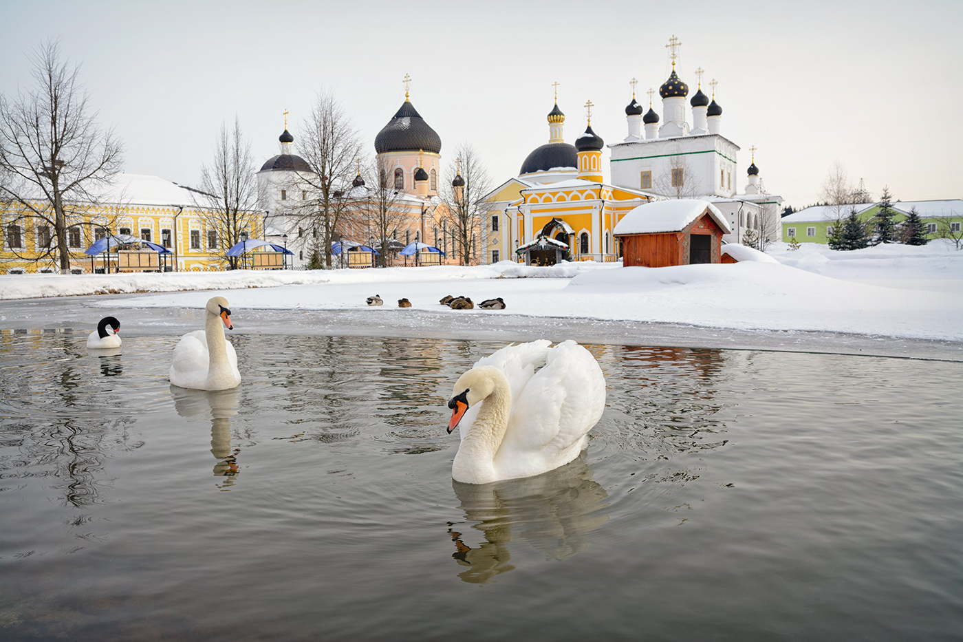 Не улетели.