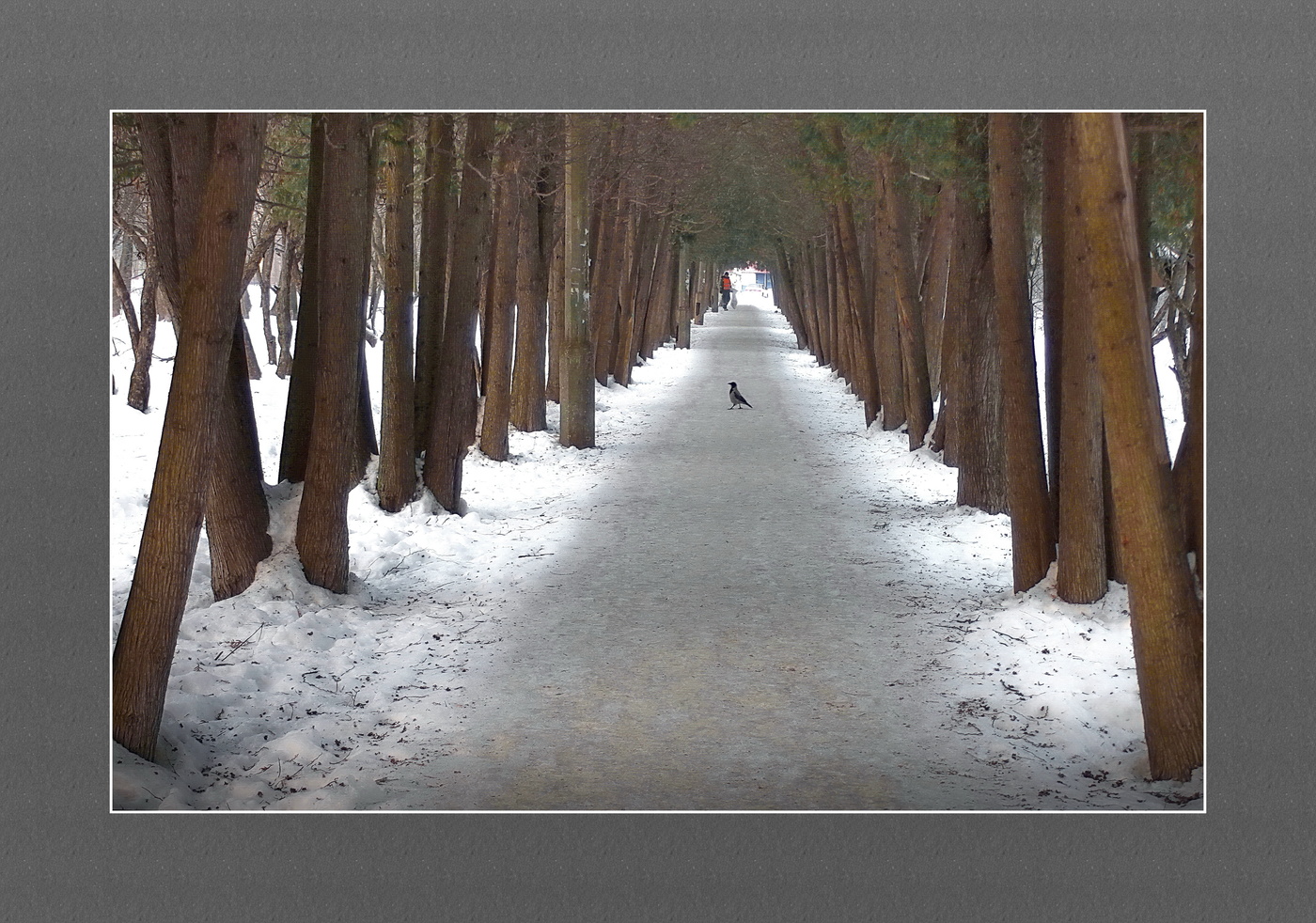 Невыдуманная история