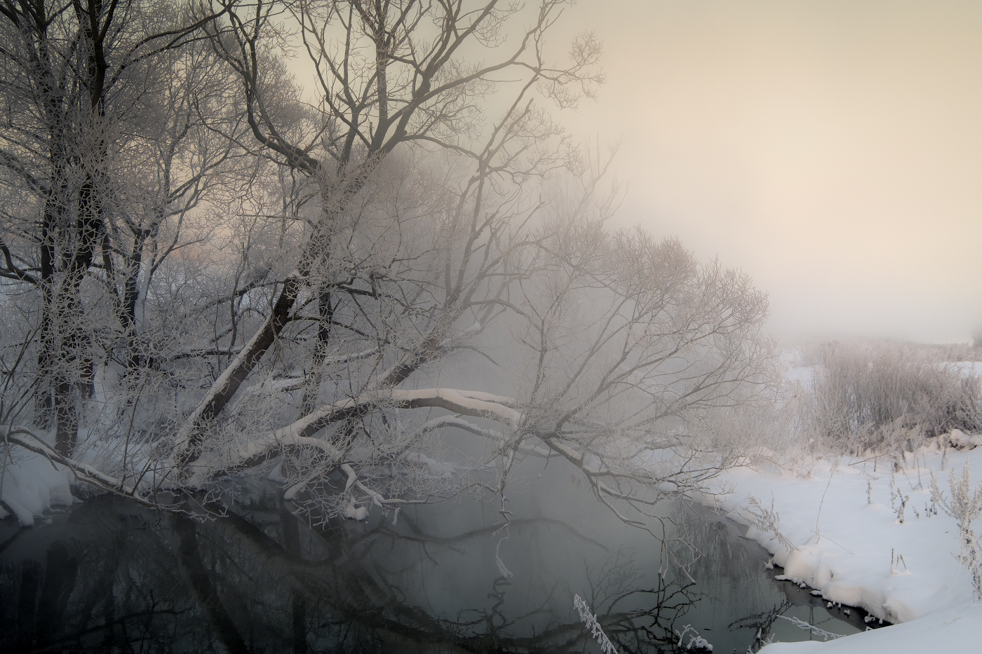 Над утренней водой