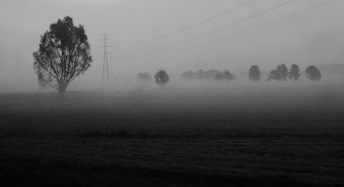 Раннее утро пасмурного дня ...