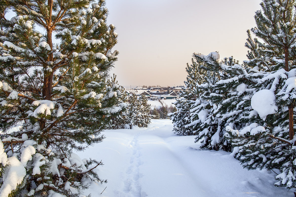 Деревенька...