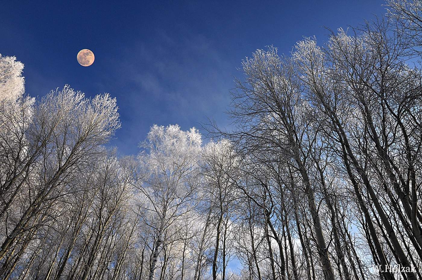 Февральский полдень