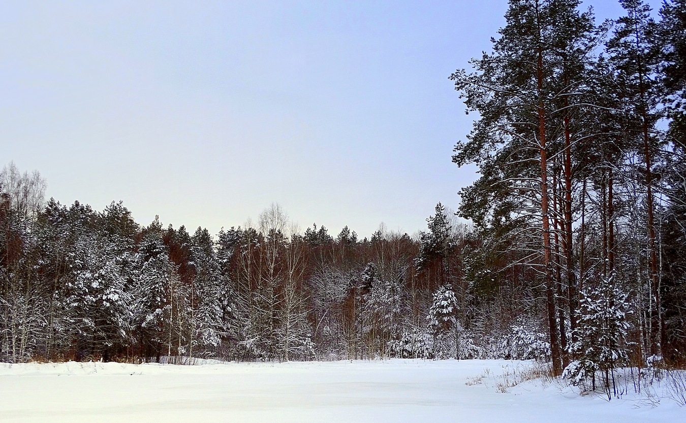 На берегу зимнего озера