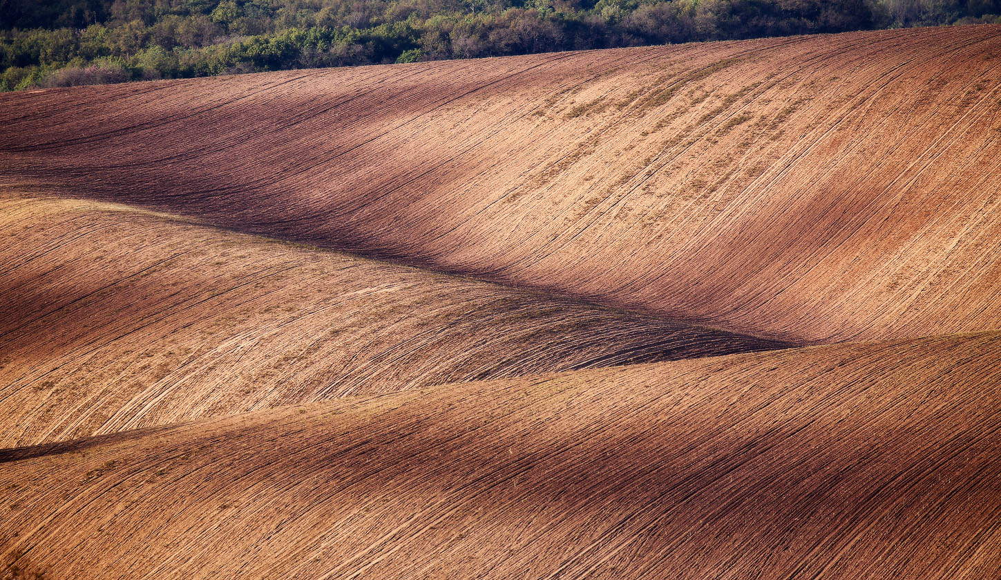Моравские абстракции