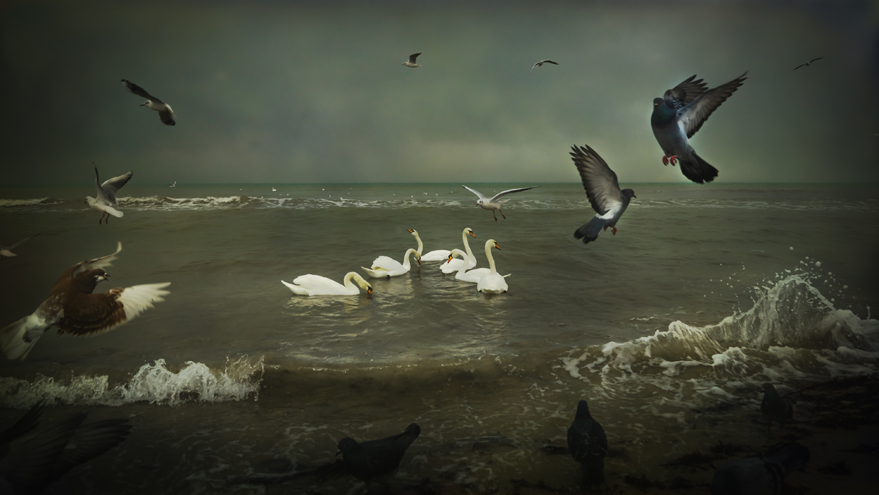 жанровое фото..