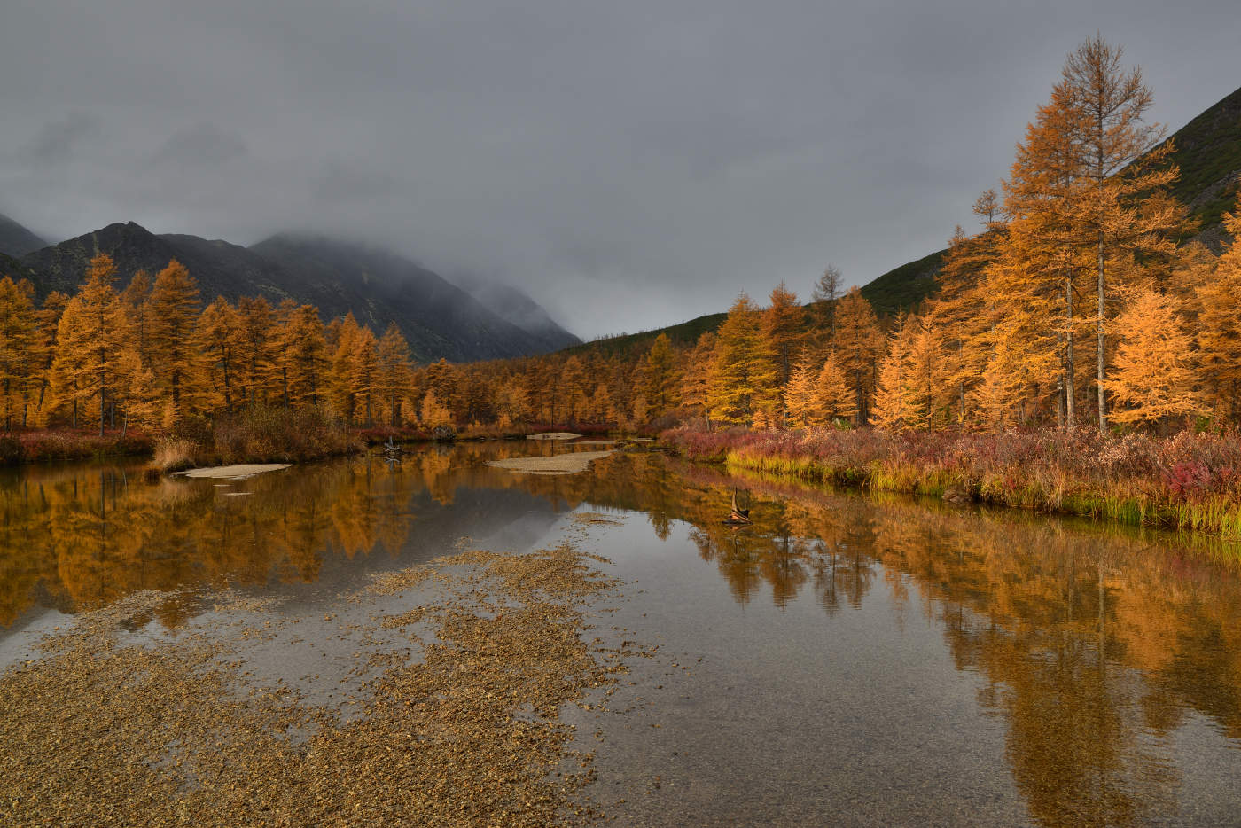 Ждали-ждали... но солнце так и не показали...