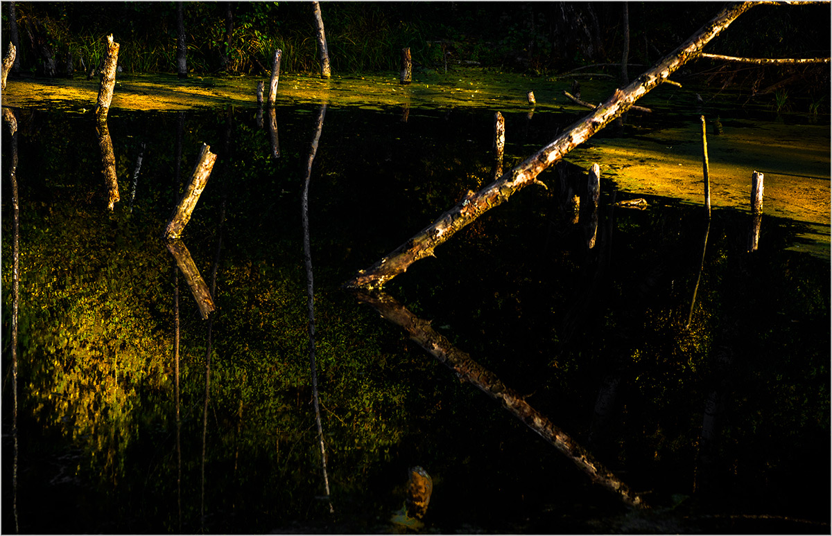 Пятничное зазеркалье