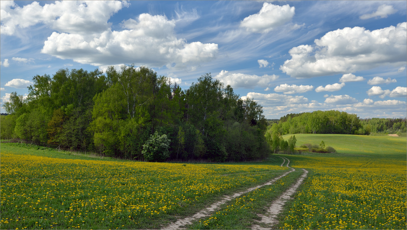 Весенние перелески